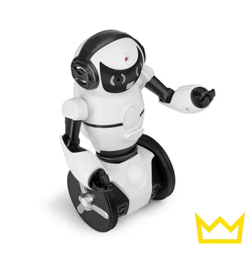 Интерактивный робот